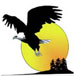 Cape Breton Eagle